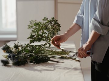 香港公司注冊資本的最新規(guī)定有哪些？