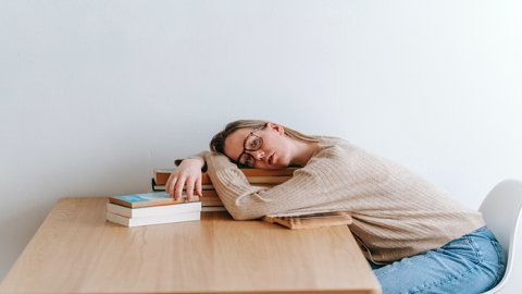 香港公司能入駐來贊達(dá)嗎？ 