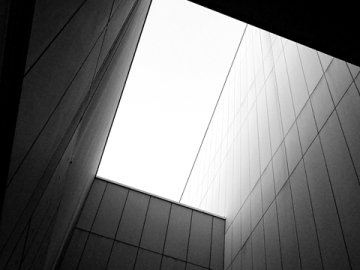 手把手教你綁定Shopify與PayPal，從零開始輕松上手！