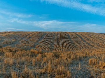 海南公司注冊(cè)專(zhuān)業(yè)辦理，全程合規(guī)保障